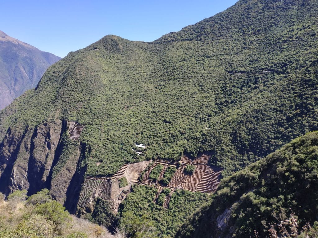 Choquequirao terrazze