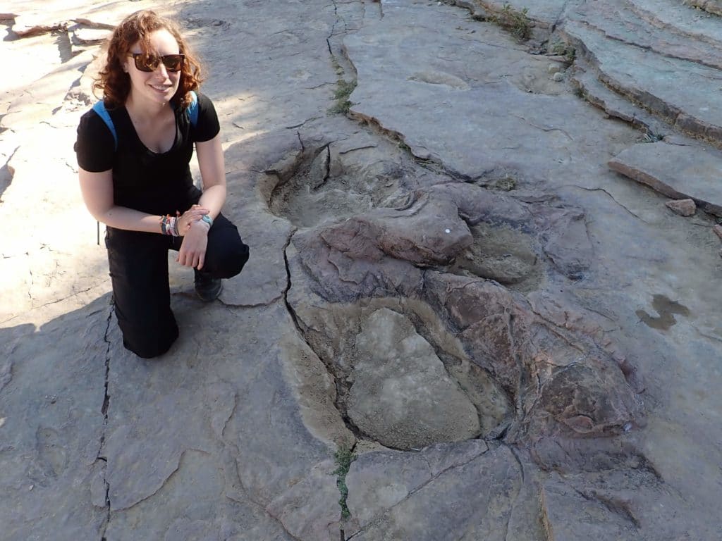 herbivore dinosaur footprint