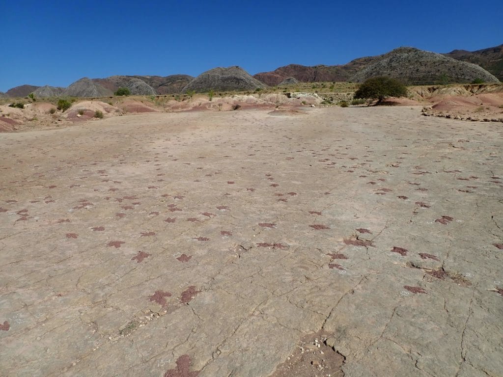 dinosauri impronte Torotoro