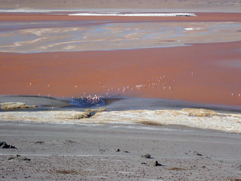 Laguna colorada