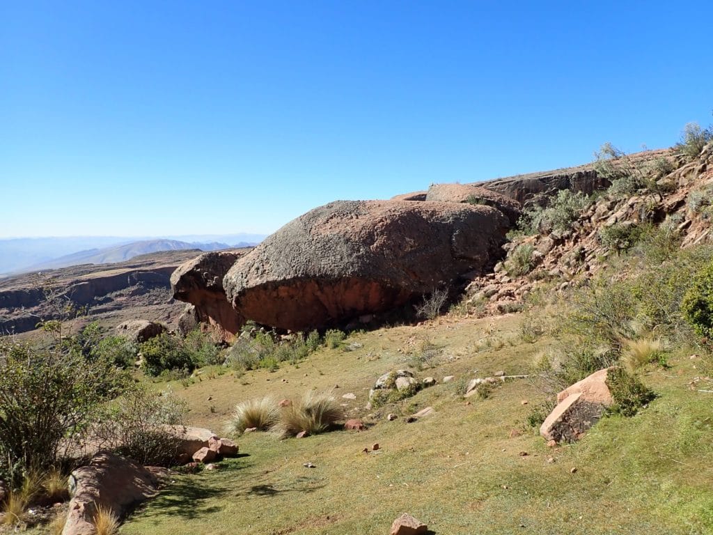 Roccia tartaruga