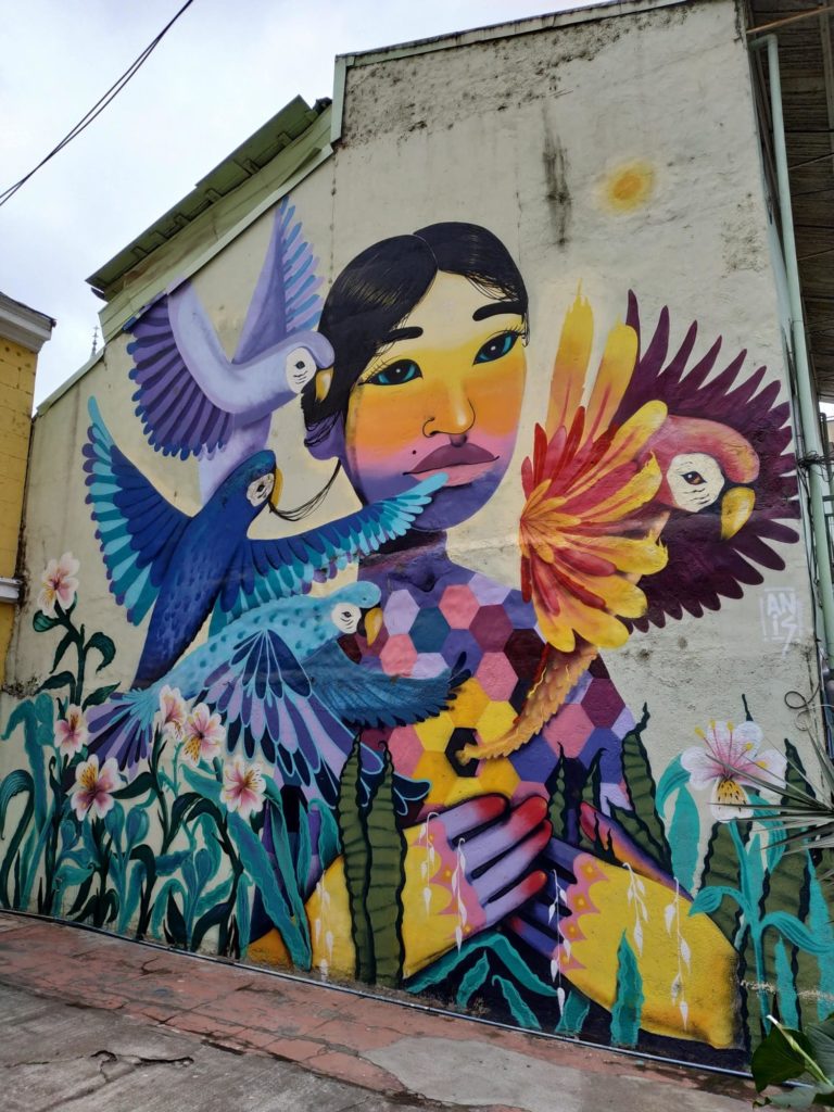 Valparaiso streetart